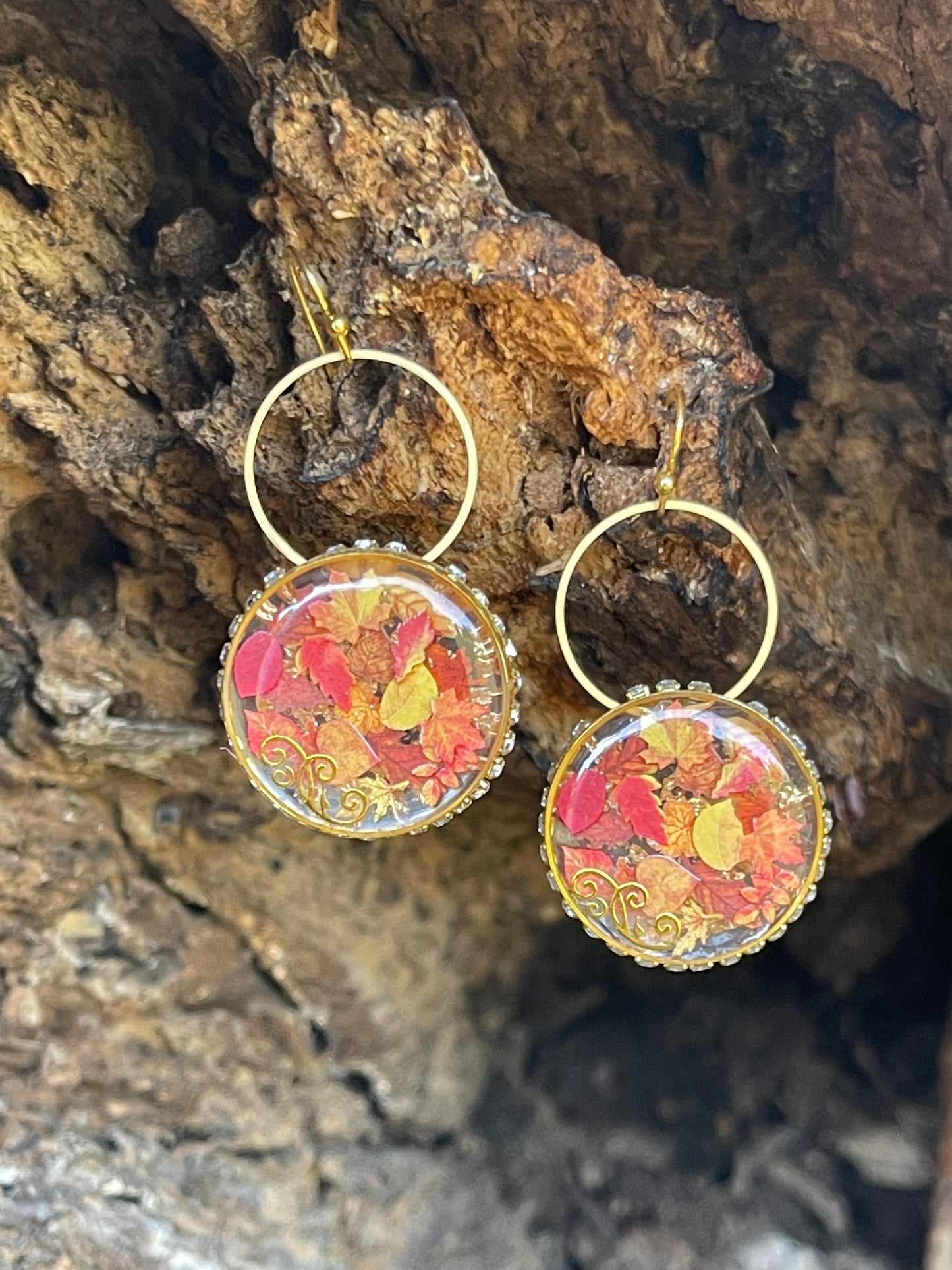 Autumn Splendor
