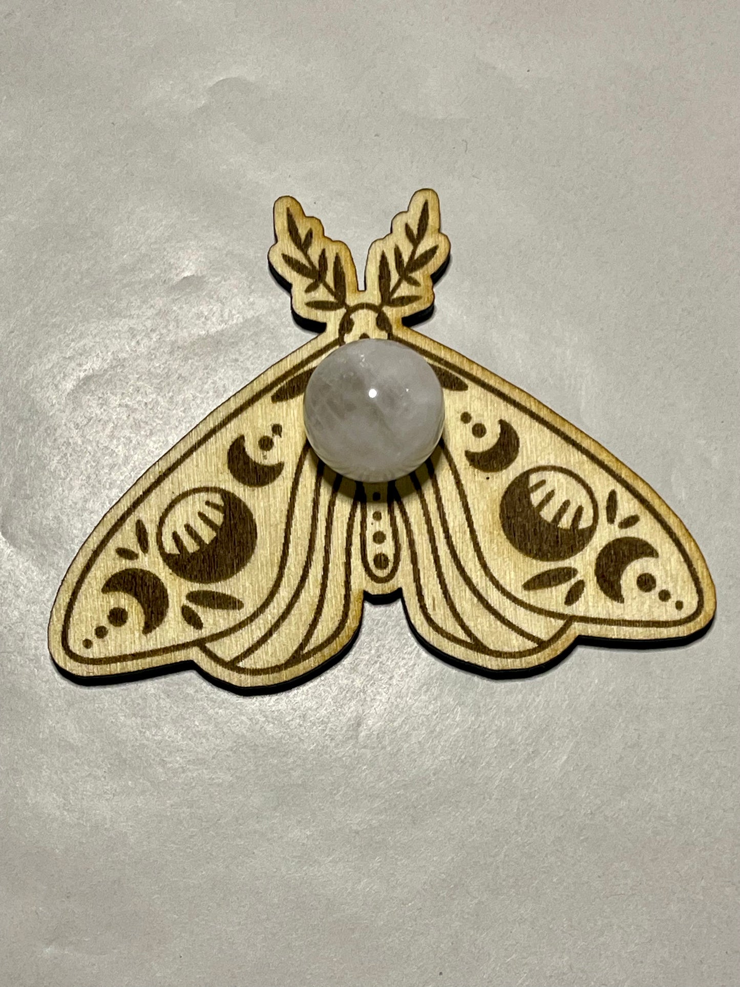 Moth